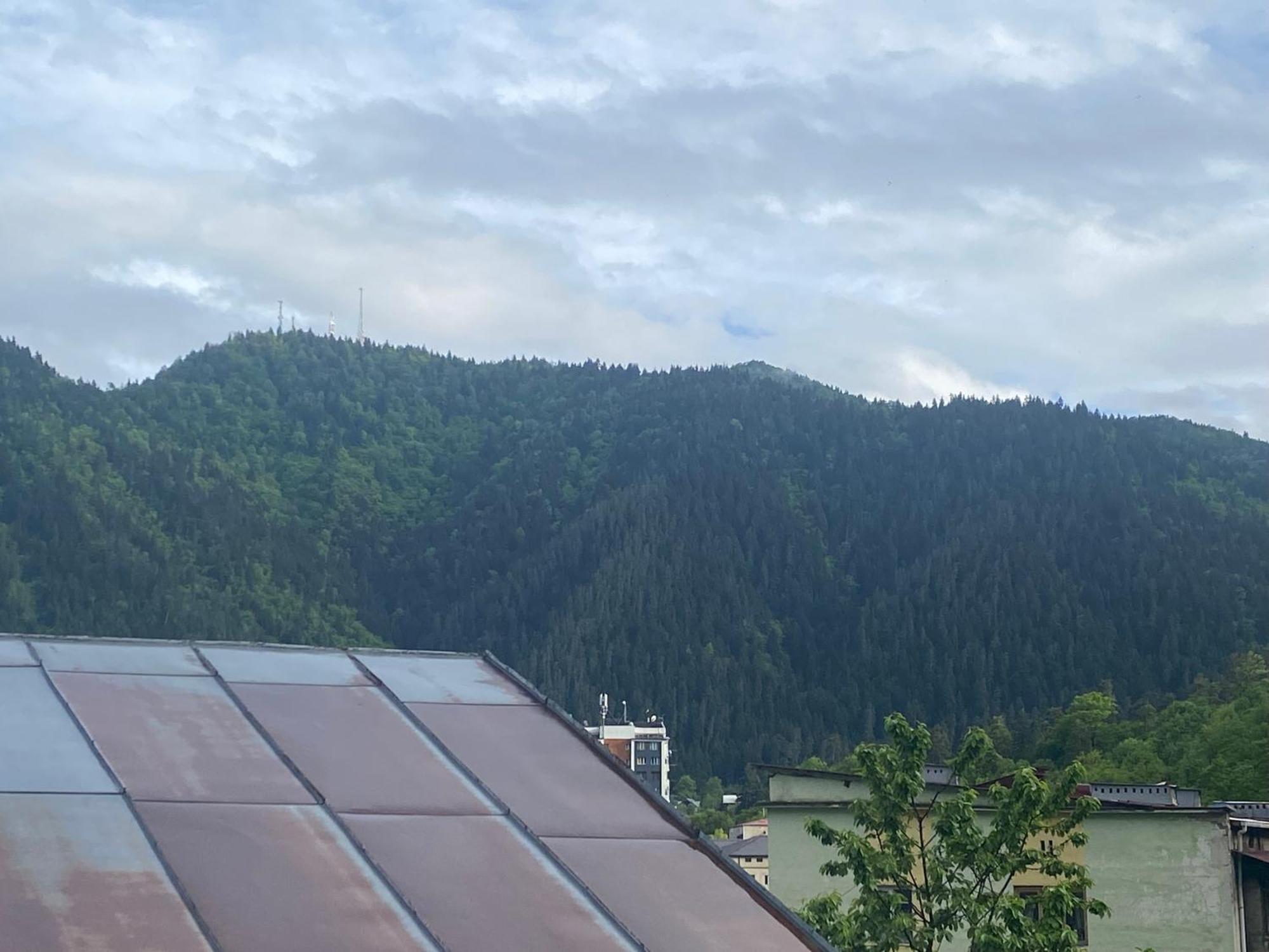 Hillside Guesthouse 보르조미 외부 사진