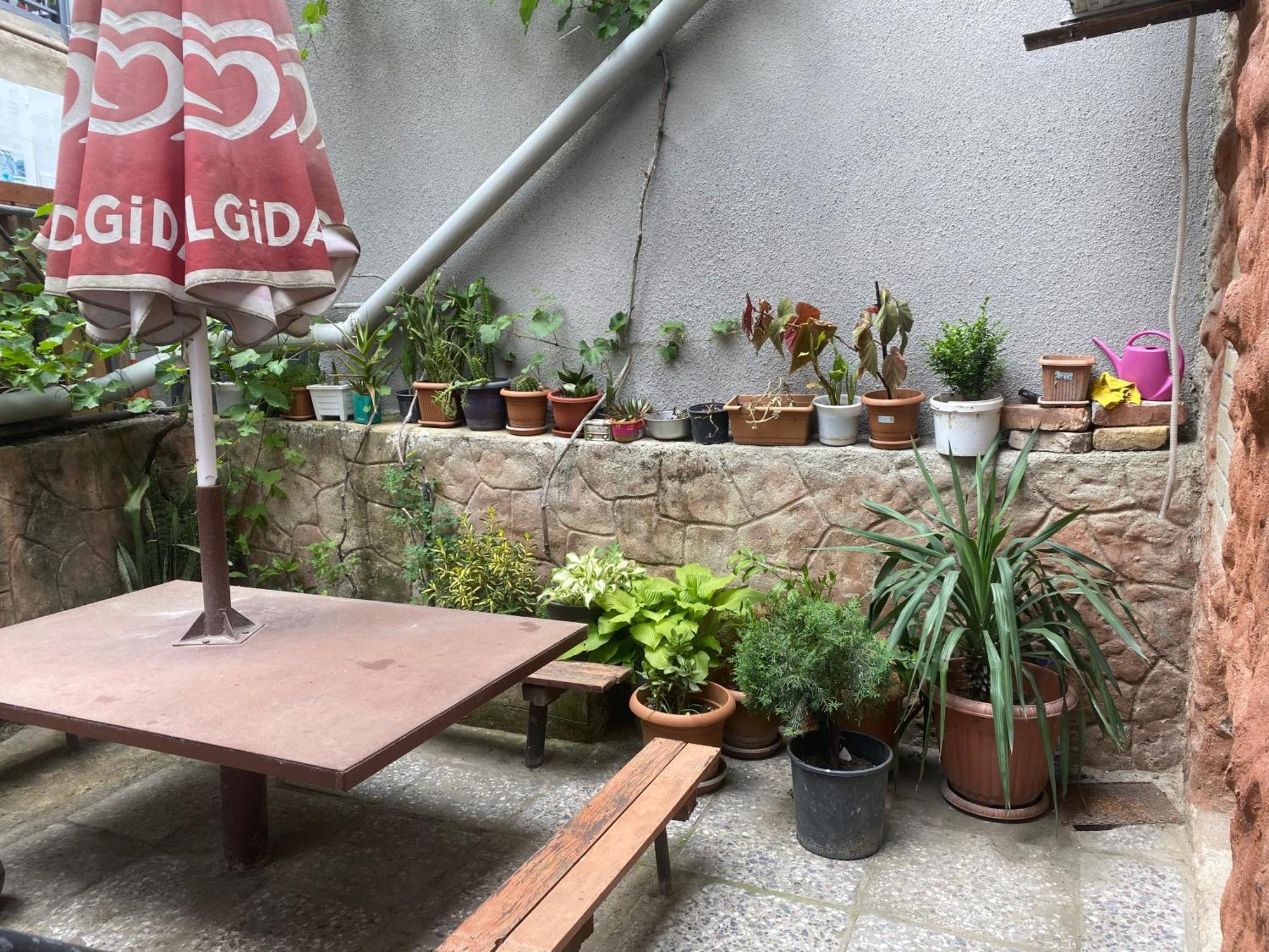 Hillside Guesthouse 보르조미 외부 사진