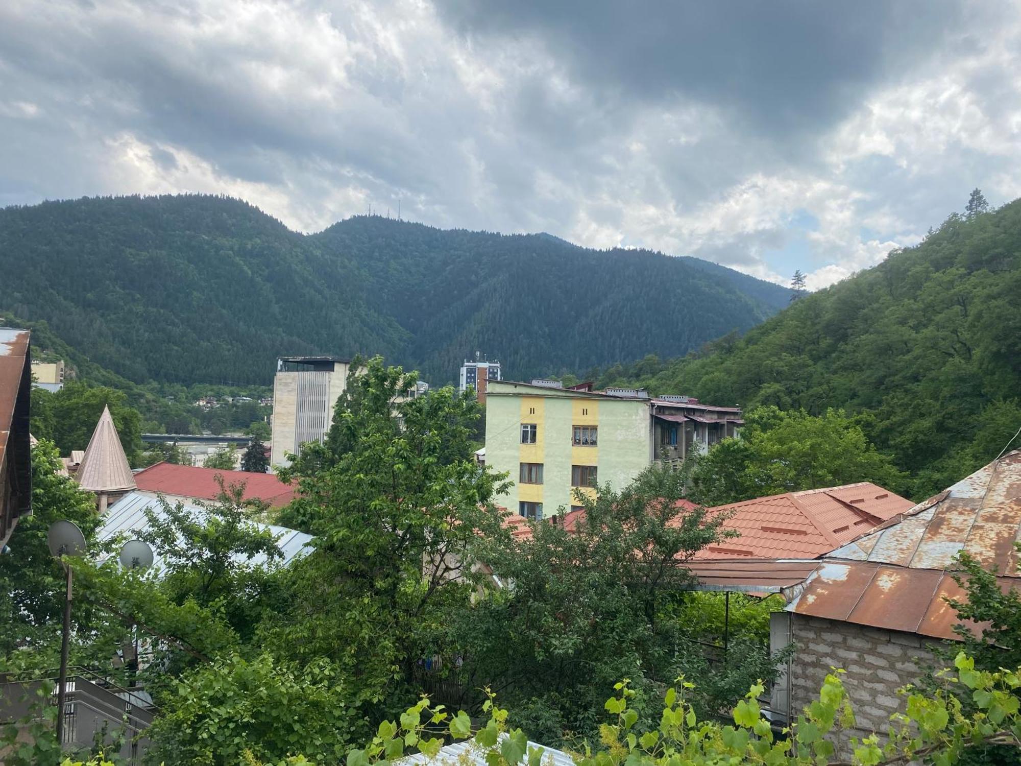 Hillside Guesthouse 보르조미 외부 사진